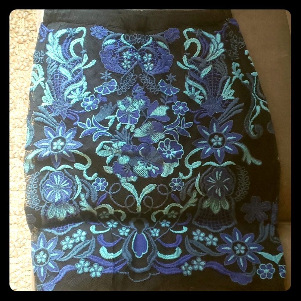 Anthropology Embroidered Blue and Black Skirt